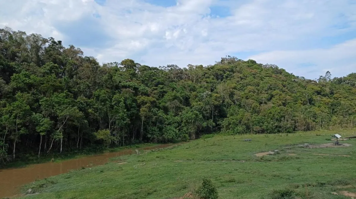 Fazenda à venda de 240 ha em Natividade da Serra, SP, Brasil