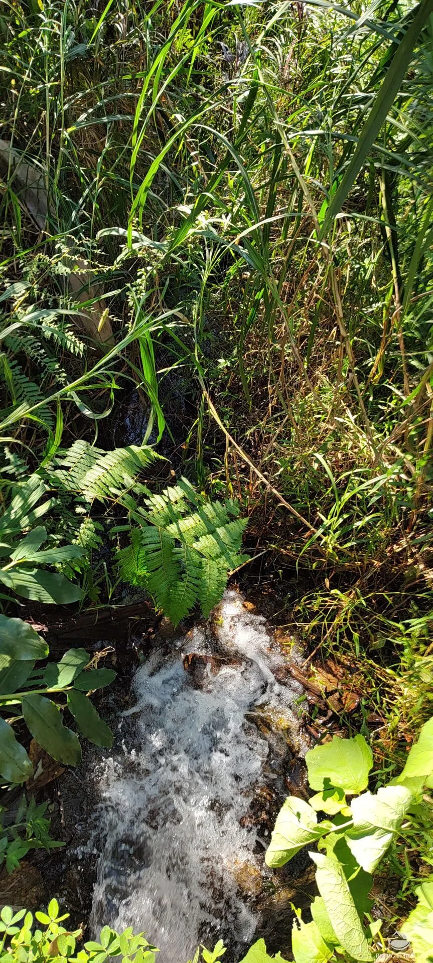 Chácara à venda de 2 ha em São José dos Campos, SP, Brasil