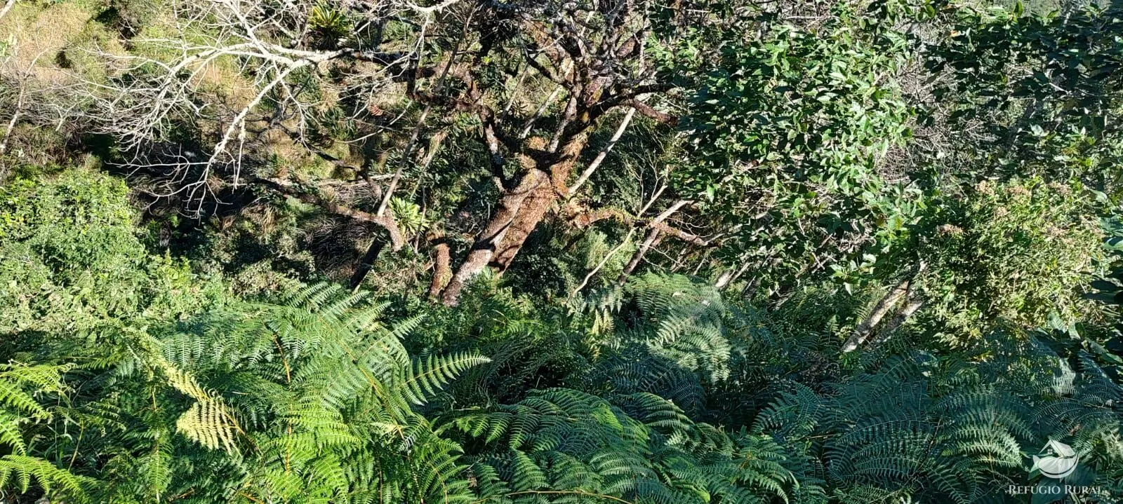 Chácara à venda de 2 ha em São José dos Campos, SP, Brasil