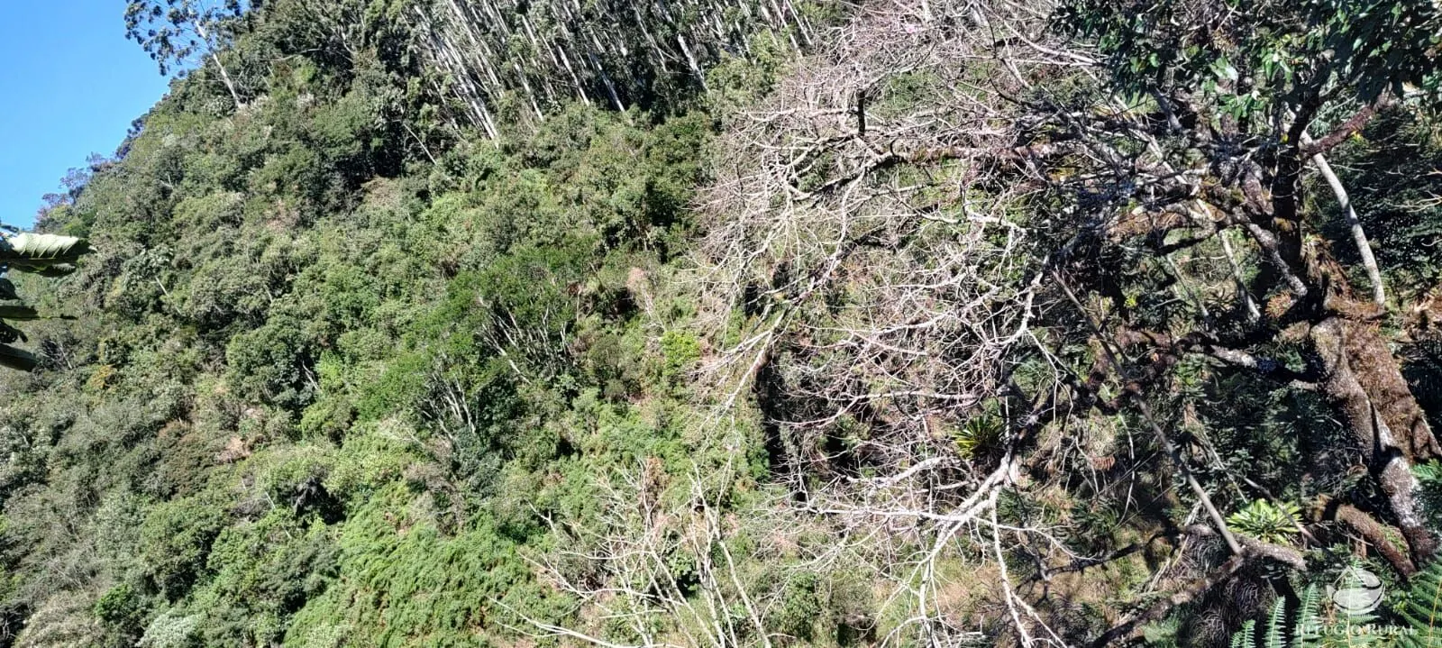 Chácara à venda de 2 ha em São José dos Campos, SP, Brasil