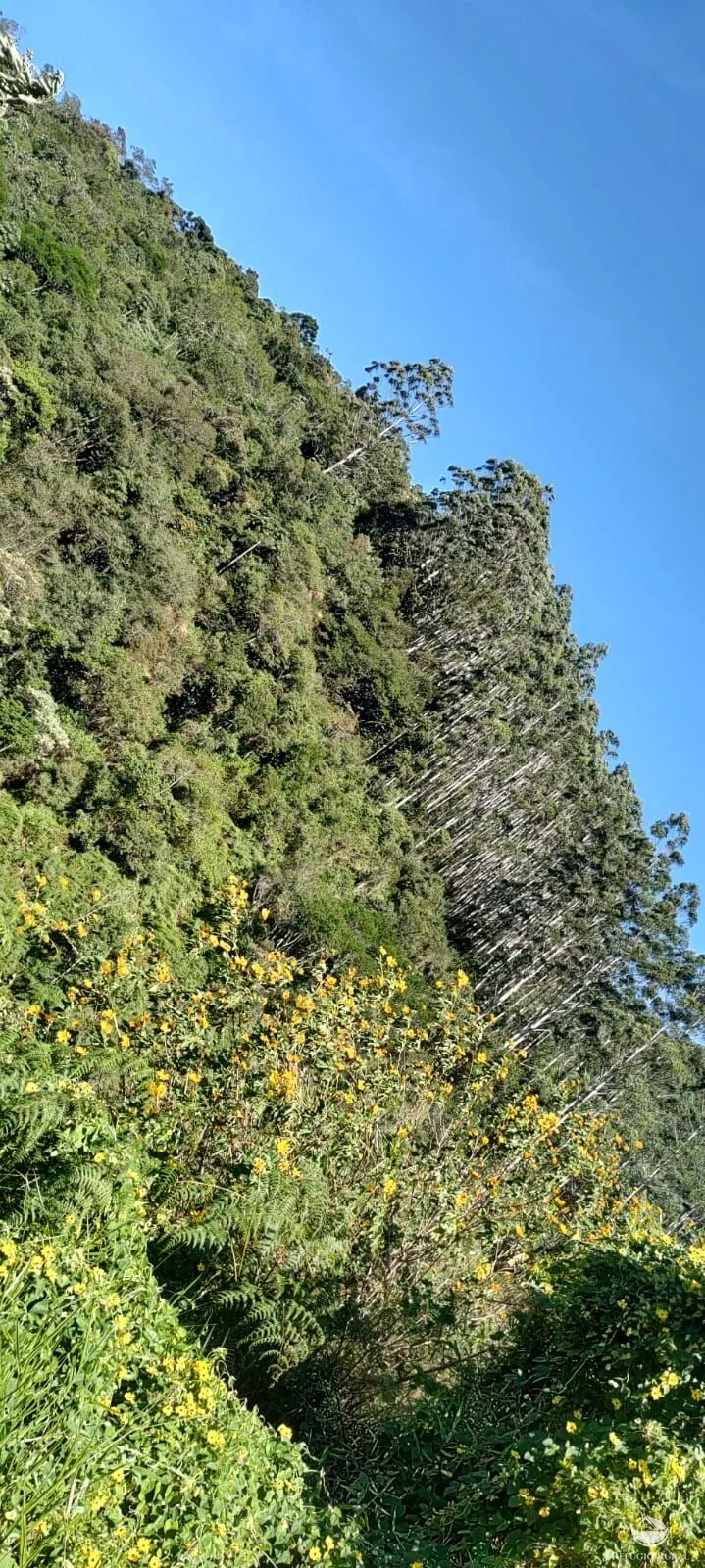 Chácara à venda de 2 ha em São José dos Campos, SP, Brasil