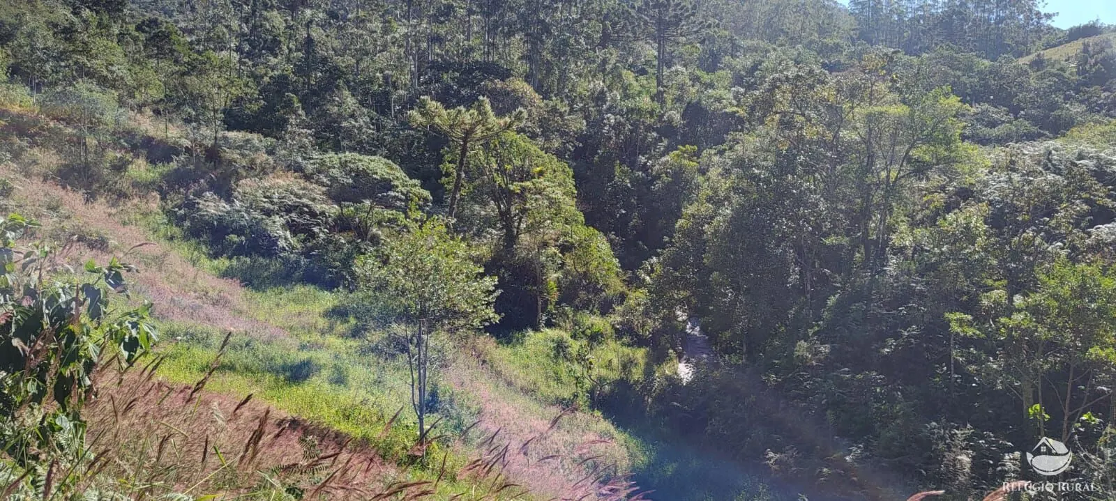Chácara à venda de 2 ha em São José dos Campos, SP, Brasil