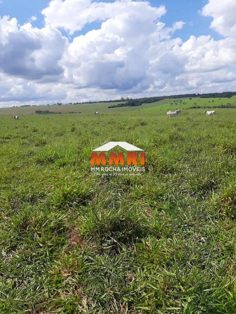 Fazenda à venda de 206 ha em Avaré, SP, Brasil