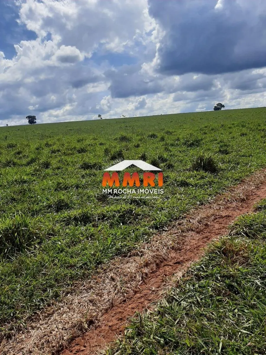 Fazenda à venda de 206 ha em Avaré, SP, Brasil
