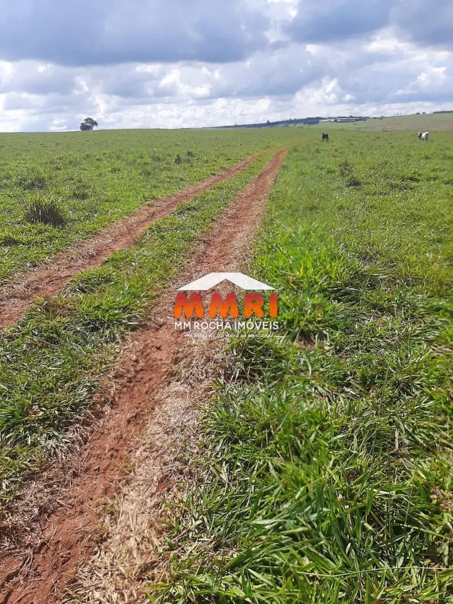 Fazenda à venda de 206 ha em Avaré, SP, Brasil