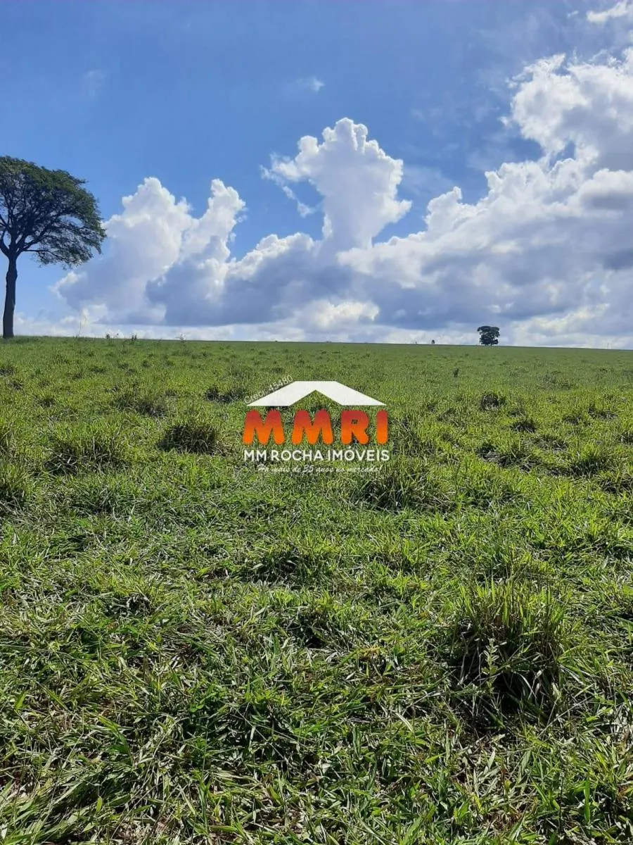 Fazenda à venda de 206 ha em Avaré, SP, Brasil
