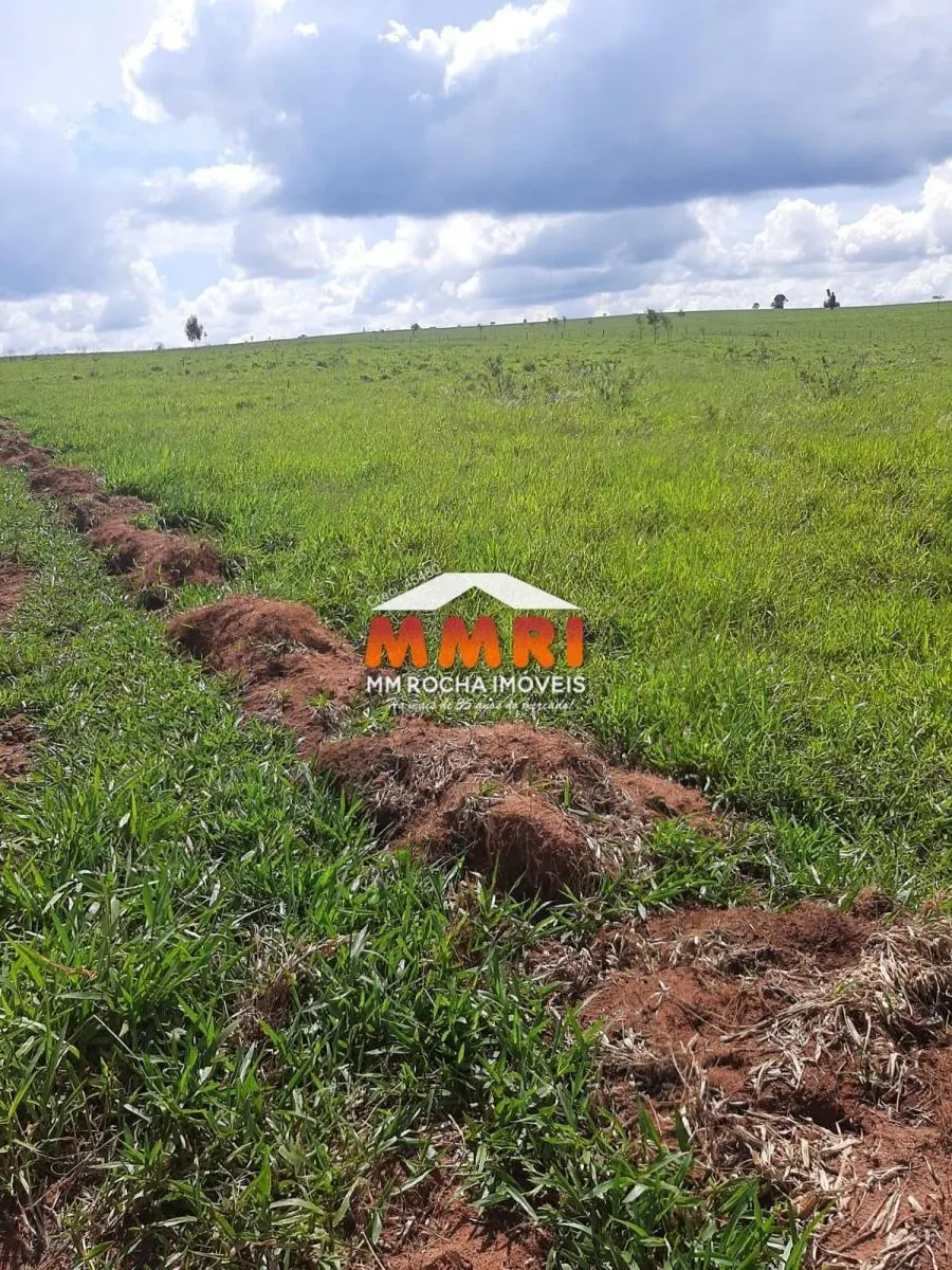 Fazenda à venda de 206 ha em Avaré, SP, Brasil