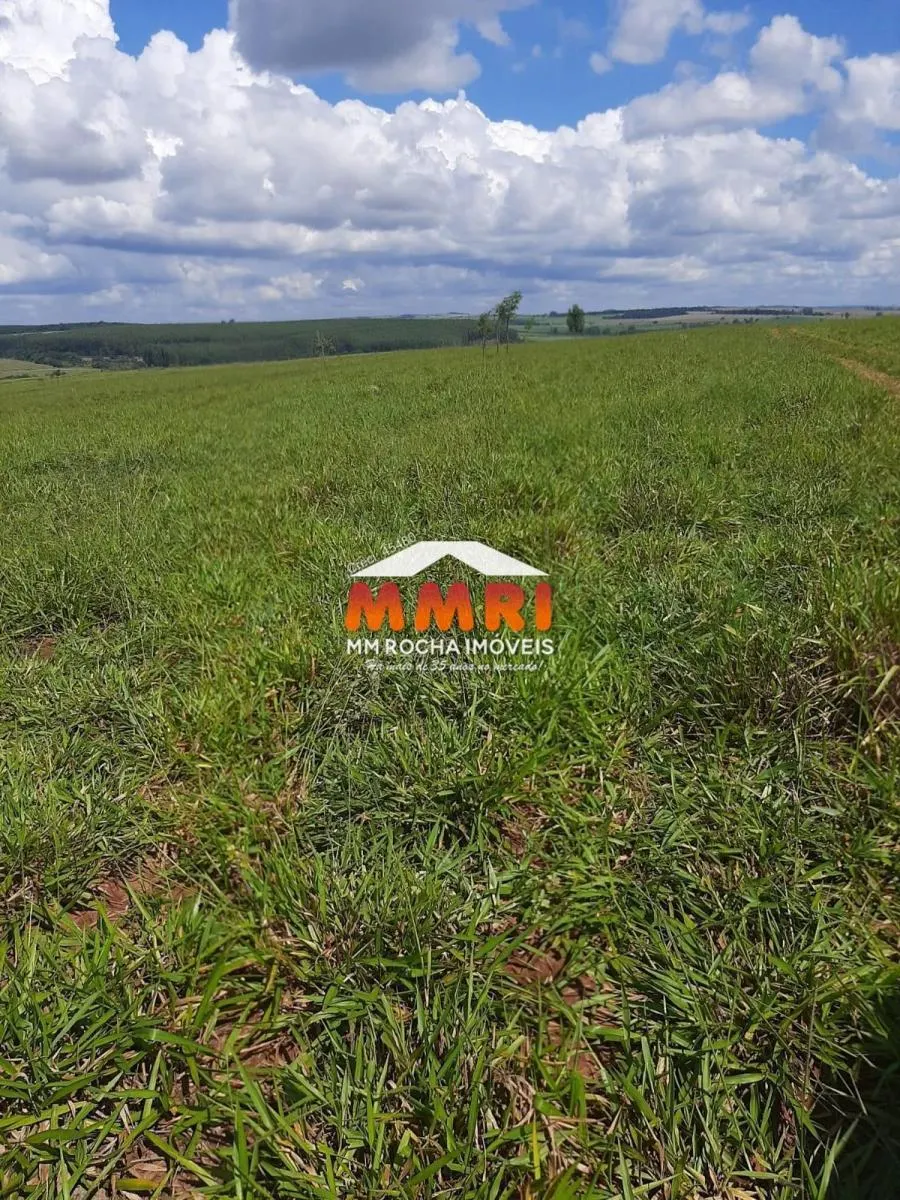 Fazenda à venda de 206 ha em Avaré, SP, Brasil