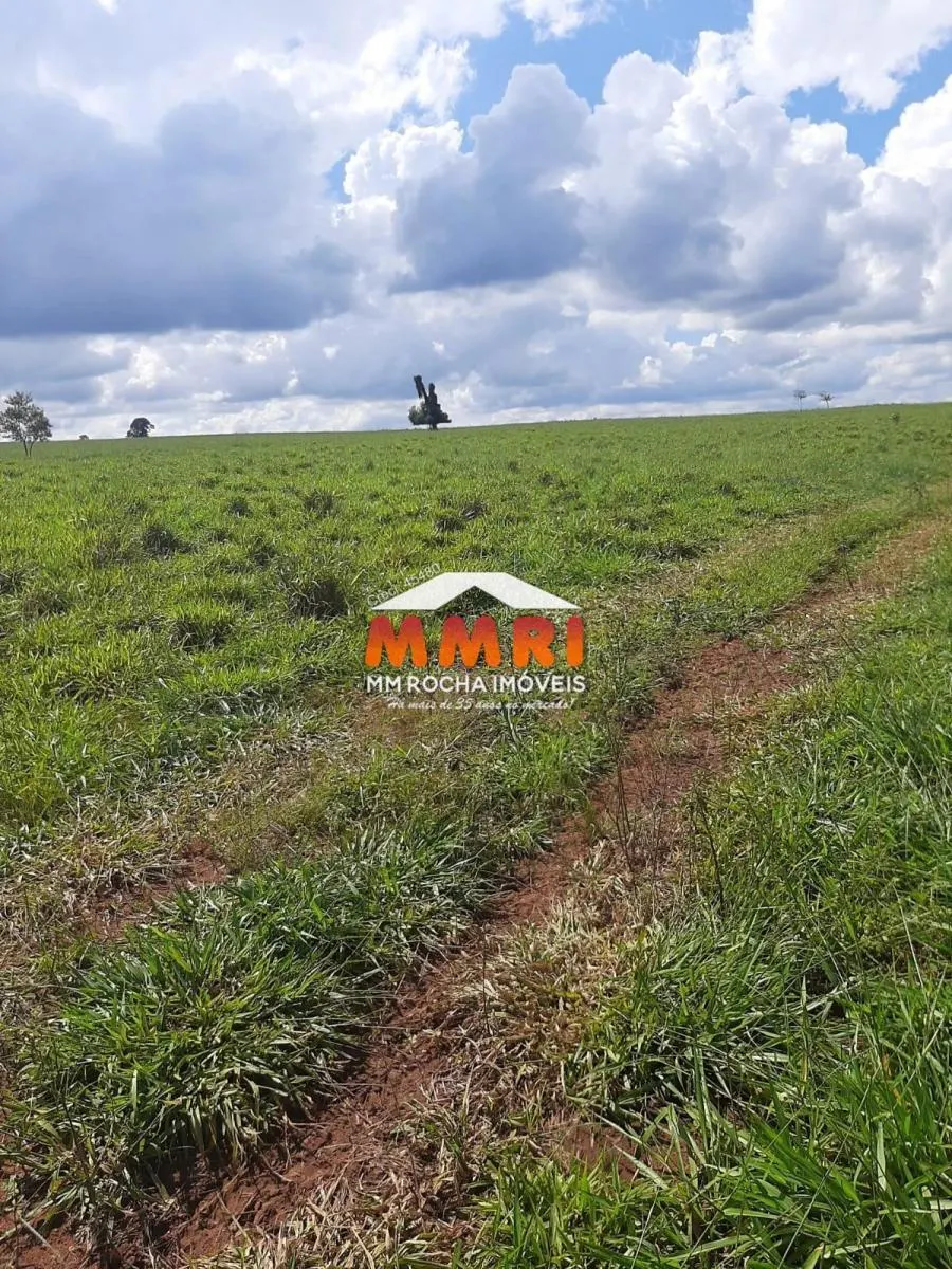 Fazenda à venda de 206 ha em Avaré, SP, Brasil