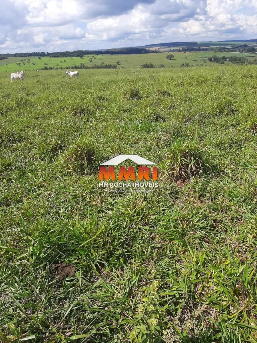 Fazenda à venda de 206 ha em Avaré, SP, Brasil