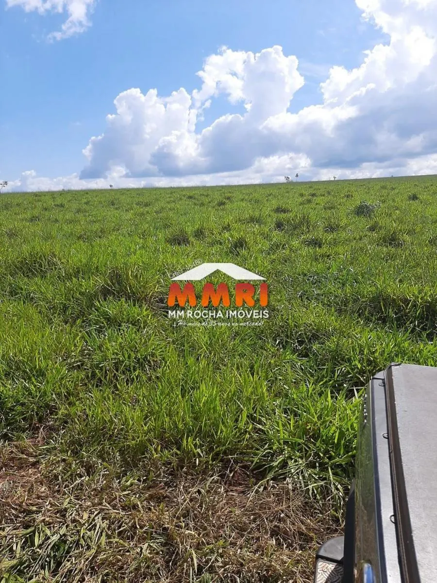 Fazenda à venda de 206 ha em Avaré, SP, Brasil