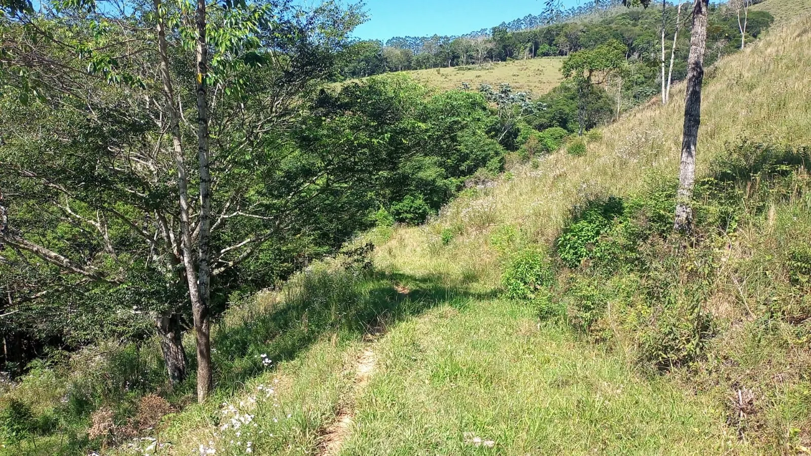Terreno à venda de 2 ha em São José dos Campos, SP, Brasil