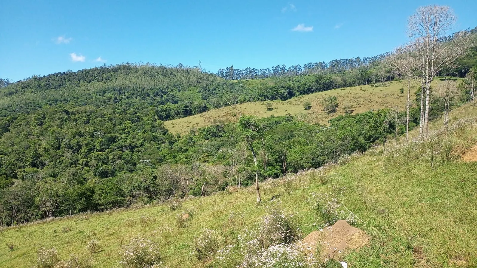 Terreno à venda de 2 ha em São José dos Campos, SP, Brasil