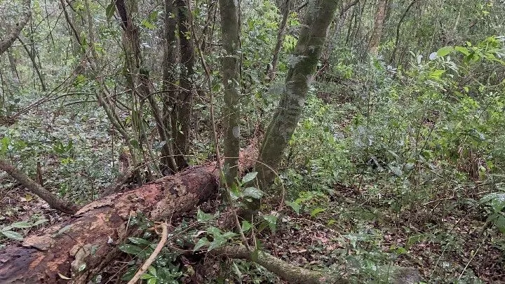 Chácara à venda de 6.800 m² em Santo Antônio da Patrulha, RS, Brasil