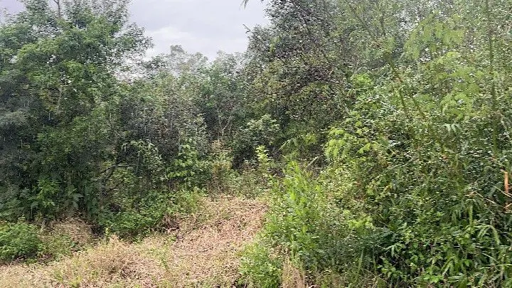 Chácara à venda de 6.800 m² em Santo Antônio da Patrulha, RS, Brasil