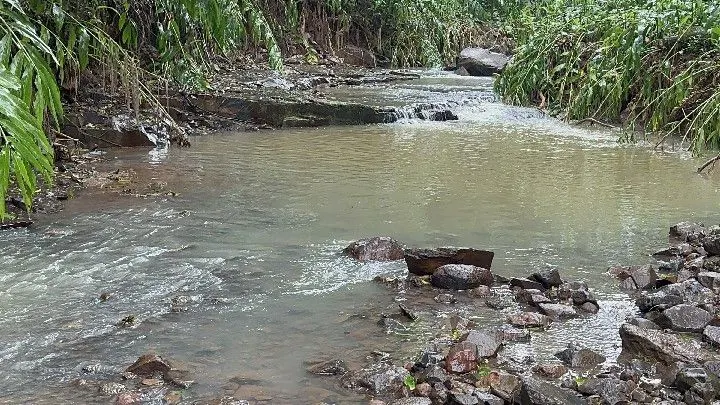 Chácara à venda de 6.800 m² em Santo Antônio da Patrulha, RS, Brasil