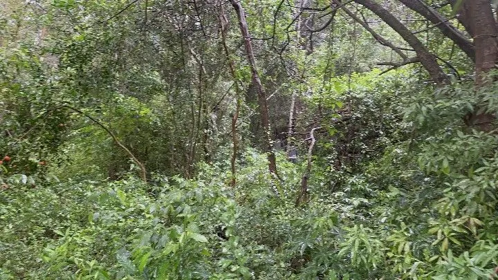 Chácara à venda de 6.800 m² em Santo Antônio da Patrulha, RS, Brasil