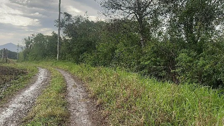 Chácara à venda de 6.800 m² em Santo Antônio da Patrulha, RS, Brasil