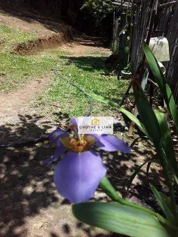 Country home for sale of 3 acres in Santa Branca, SP, Brazil