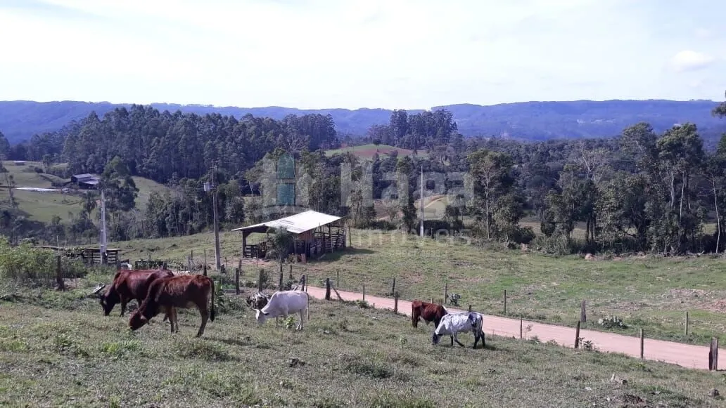 Chácara à venda de 51 ha em Doutor Pedrinho, SC, Brasil