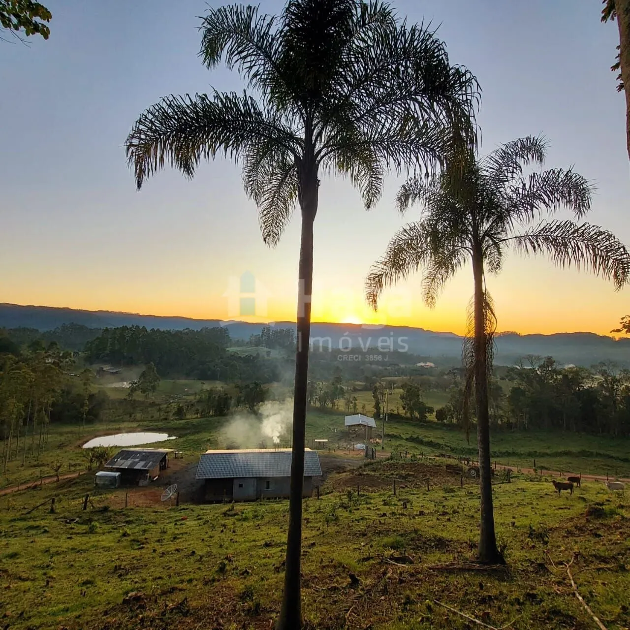 Chácara à venda de 51 ha em Doutor Pedrinho, SC, Brasil