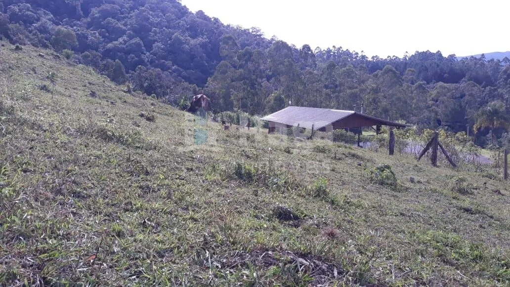 Chácara à venda de 51 ha em Doutor Pedrinho, SC, Brasil