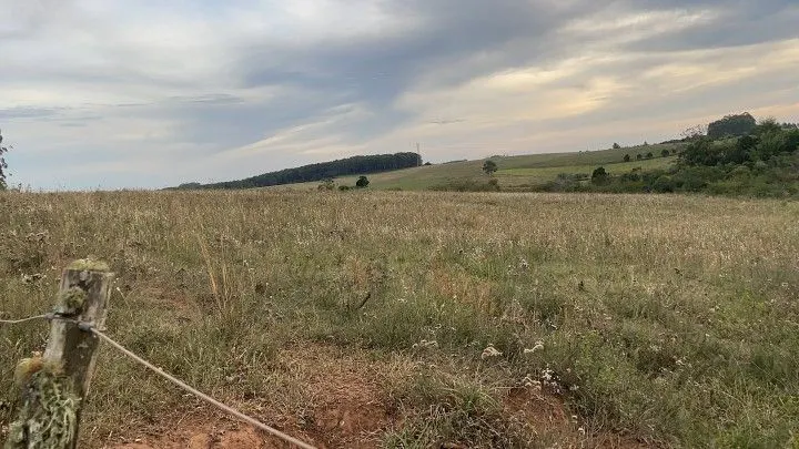 Terreno à venda de 2 ha em Viamão, RS, Brasil