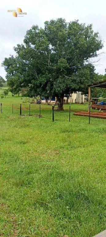 Fazenda à venda de 1.016 ha em Guiratinga, MT, Brasil