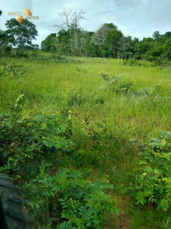 Fazenda à venda de 1.016 ha em Guiratinga, MT, Brasil