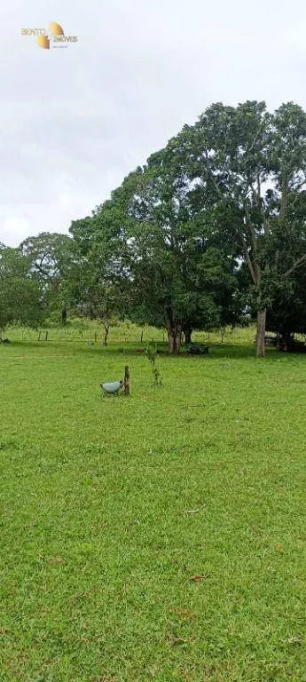 Fazenda à venda de 1.016 ha em Guiratinga, MT, Brasil