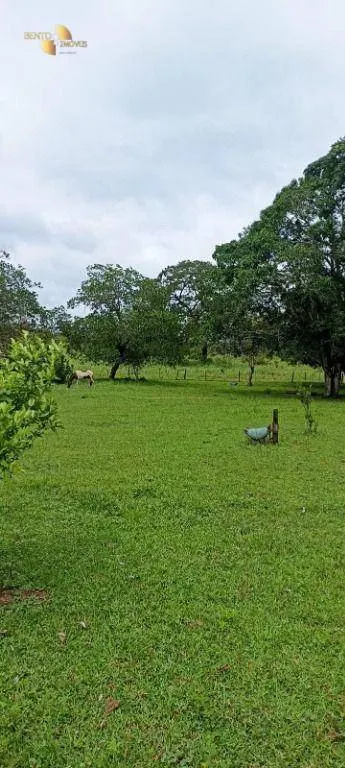 Fazenda à venda de 1.016 ha em Guiratinga, MT, Brasil