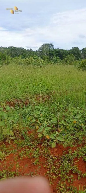 Fazenda à venda de 1.016 ha em Guiratinga, MT, Brasil