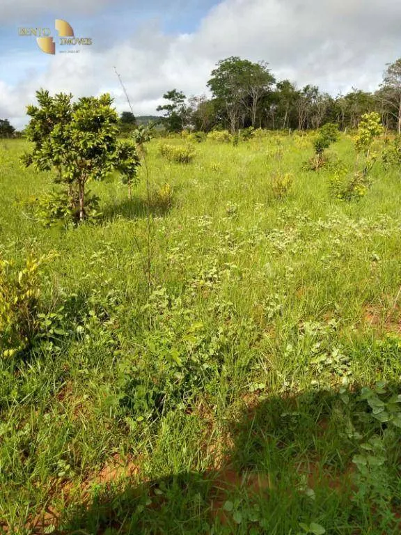 Fazenda à venda de 1.016 ha em Guiratinga, MT, Brasil