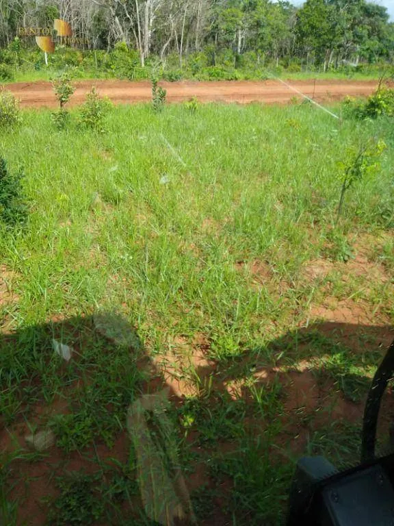 Fazenda à venda de 1.016 ha em Guiratinga, MT, Brasil