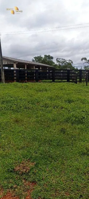 Fazenda à venda de 1.016 ha em Guiratinga, MT, Brasil