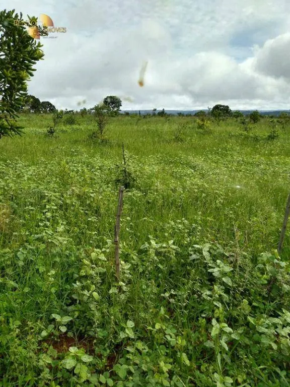 Fazenda à venda de 1.016 ha em Guiratinga, MT, Brasil
