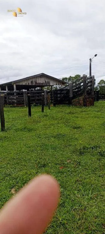 Fazenda à venda de 1.016 ha em Guiratinga, MT, Brasil