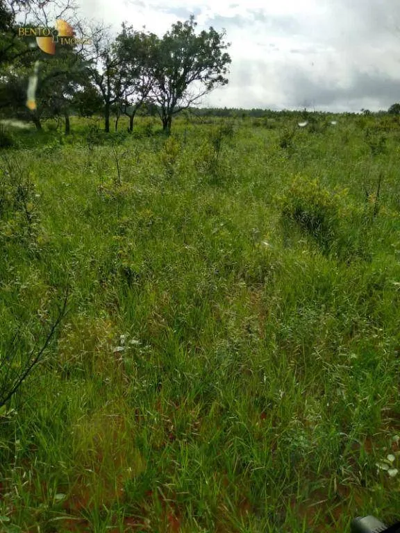 Fazenda à venda de 1.016 ha em Guiratinga, MT, Brasil
