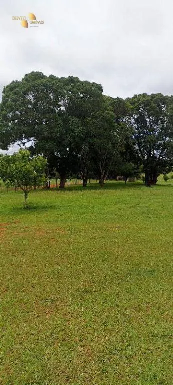 Fazenda à venda de 1.016 ha em Guiratinga, MT, Brasil