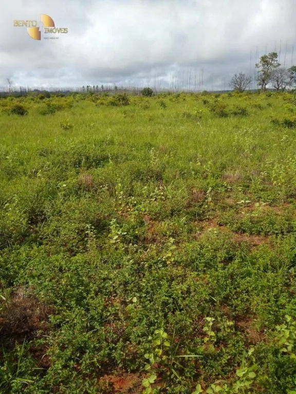 Fazenda à venda de 1.016 ha em Guiratinga, MT, Brasil
