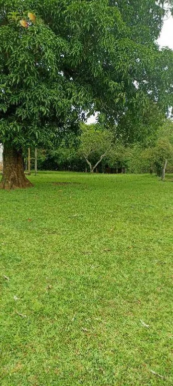 Fazenda à venda de 1.016 ha em Guiratinga, MT, Brasil