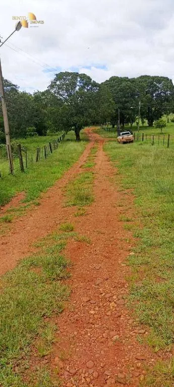 Fazenda à venda de 1.016 ha em Guiratinga, MT, Brasil