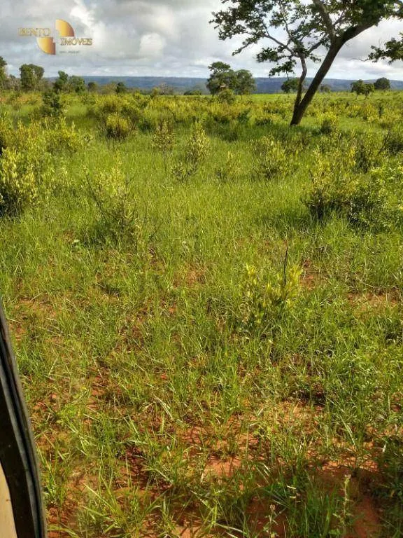 Fazenda à venda de 1.016 ha em Guiratinga, MT, Brasil