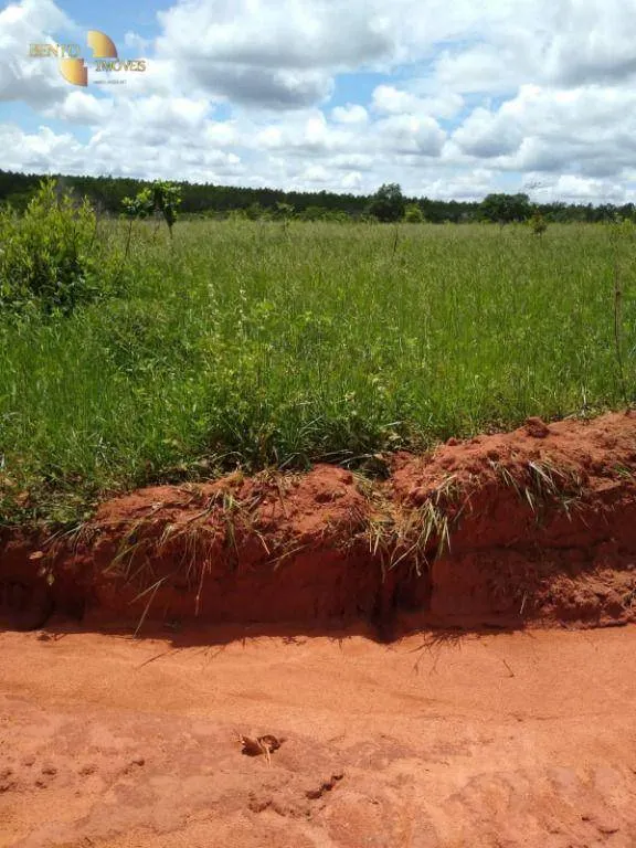Fazenda à venda de 1.016 ha em Guiratinga, MT, Brasil