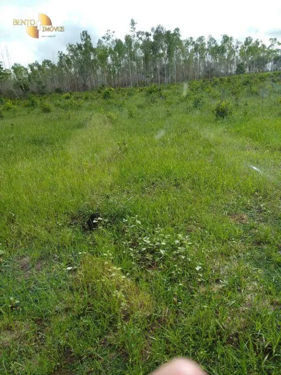 Fazenda à venda de 1.016 ha em Guiratinga, MT, Brasil
