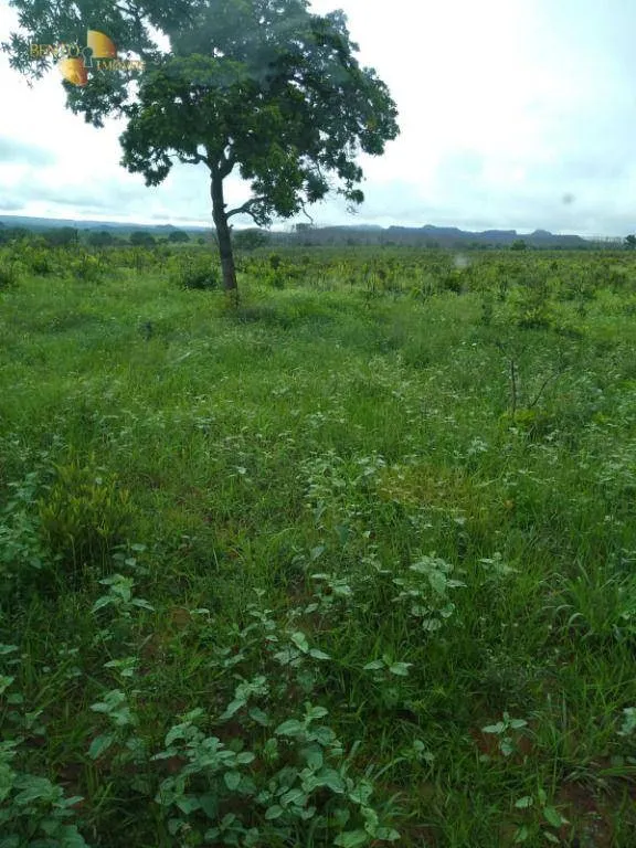 Fazenda à venda de 1.016 ha em Guiratinga, MT, Brasil