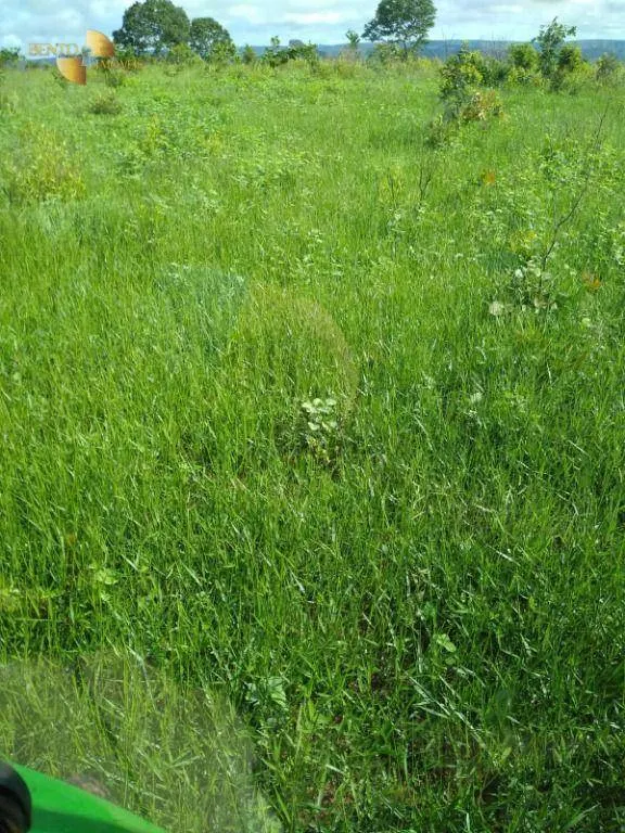 Fazenda à venda de 1.016 ha em Guiratinga, MT, Brasil