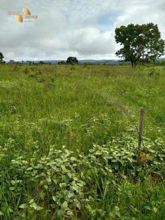 Fazenda à venda de 1.016 ha em Guiratinga, MT, Brasil