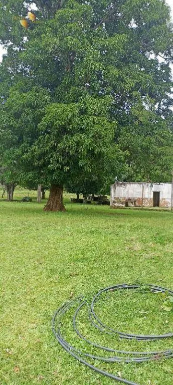 Fazenda à venda de 1.016 ha em Guiratinga, MT, Brasil