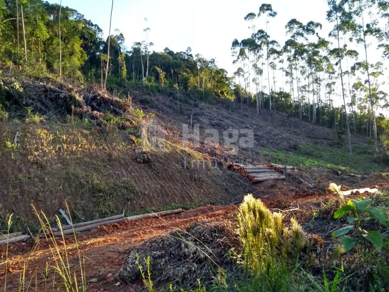 Country home for sale of 5 acres in Itajaí, SC, Brazil